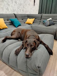 Фото покупателя, оценка 5 - 2