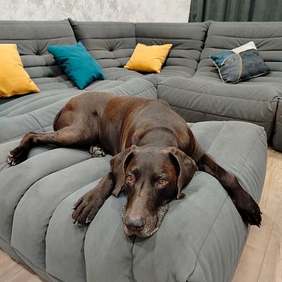 Мягкая бескаркасная мебель для отдыха всей семьей. Реальный отзыв с фотографией и рейтингом 5/5.