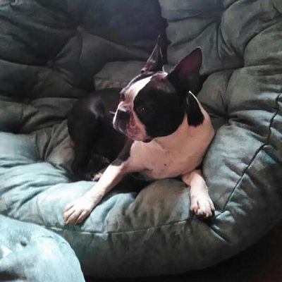 Купить кресло для чтения книг в интернет-магазине. Отзыв о качестве с фото. Рейтинг 5 звезд.