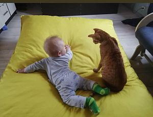 Фото покупателя, оценка 5 - 6