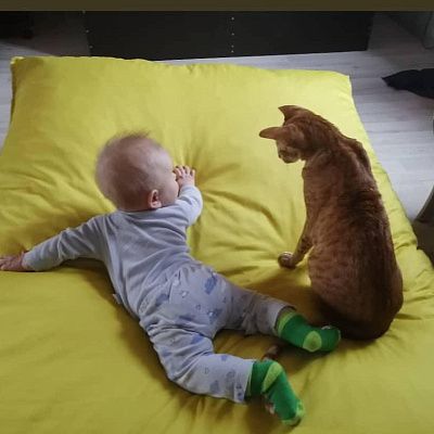 Мягкая бескаркасная мебель для отдыха всей семьей. Реальный отзыв с фотографией и рейтингом 5/5.