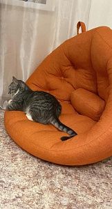 Фото покупателя, оценка 5 - 3