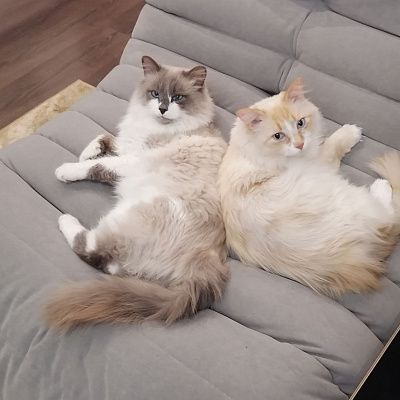 Кресло для комфортного просмотра телевизора: отзыв с фото в гостиной. 5 звезд