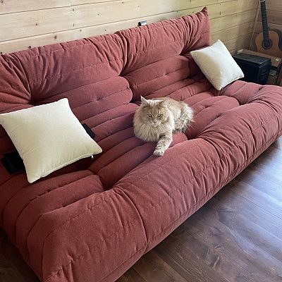 Поролоновый бескаркасный диван: отзыв о упругости и поддержке с фото. 5/5