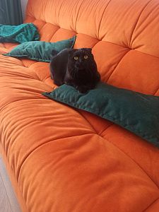 Фото покупателя, оценка 5 - 14