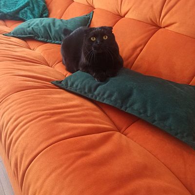 Купить бескаркасный диван недорого от производителя. Отзыв о выгоде и качестве с фото. 5 звезд.