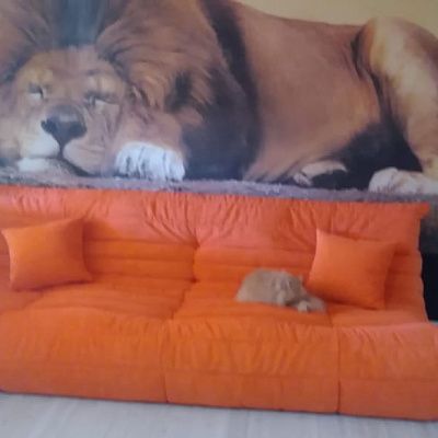 Мягкий диван с объемными подушками: отзыв о комфорте. Фото семейного отдыха. 5/5.