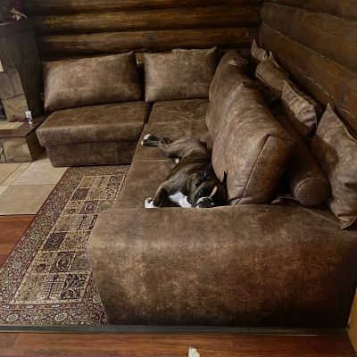 Отзыв о  модульном диване от Гливер Фото в интерьере и оценка 5/5.