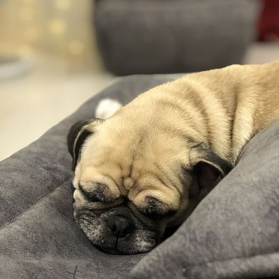 Купить качественную бескаркасную мягкую мебель недорого. Отзыв о качестве материалов с фото. 5 звезд.