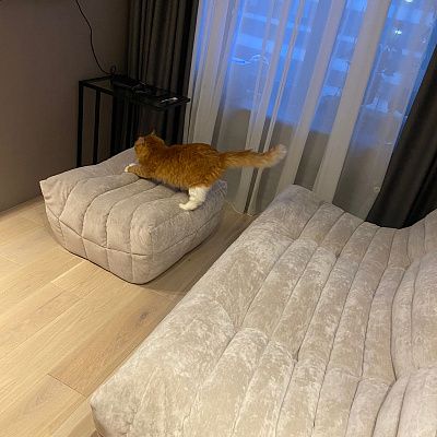 Мягкий бескаркасный диван для ежедневного отдыха. Отзыв с фото и рейтингом 5 звезд.