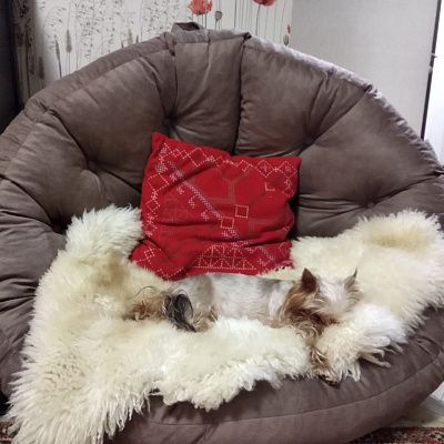 Купить удобное и качественное кресло для чтения и отдыха недорого. Отзыв о выгодной покупке с фото. 5/5.