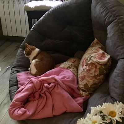 Кресло для просмотра фильмов и чтения: отзыв с фото и оценкой 5/5