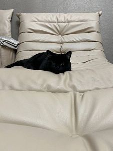 Фото покупателя, оценка 5 - 8