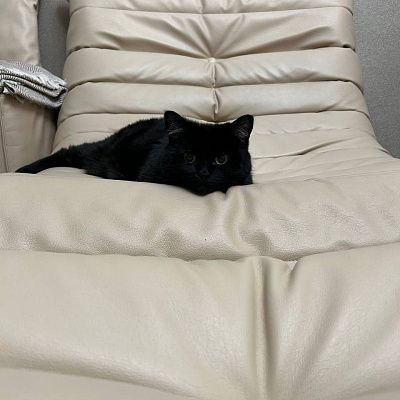 Модульная бескаркасная мебель в гостиной. Фото и отзыв покупателя на 5 звезд.