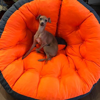 Кресло лаунж для полноценного отдыха. Отзыв с фото в зоне релакса. Высшая оценка 5 звезд.