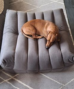 Фото покупателя, оценка 5 - 1