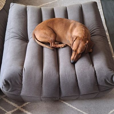 Пуфик в зал к дивану: отзыв о красивой и практичной мебели. Фото в интерьере. 5 звезд.