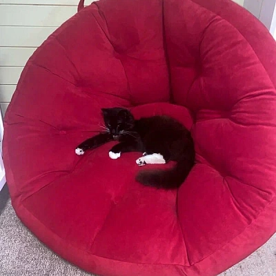 Кресло лаунж для полноценного отдыха. Отзыв с фото в зоне релакса. Высшая оценка 5 звезд.