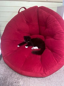 Кресло лаунж для полноценного отдыха. Отзыв с фото в зоне релакса. Высшая оценка 5 звезд.